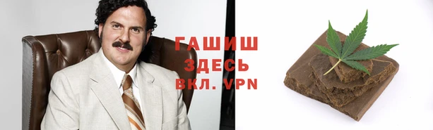 гидра Алексеевка