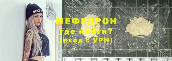 индика Ельня